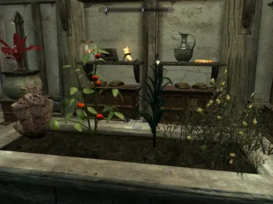 Plants for Skyrim items