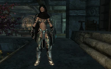 Female Light Knight with Hood