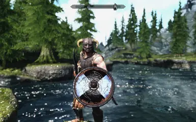 VikingSn2