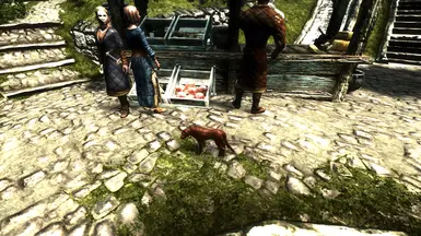 Dogs of Skyrim