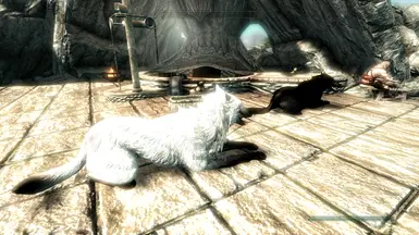 Dogs of Skyrim 1 point 7