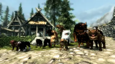 Dogs of Skyrim 1 point 7
