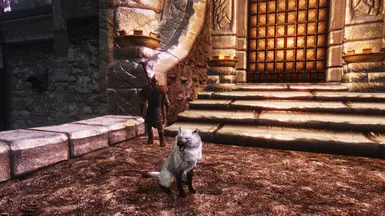 Dogs of Skyrim