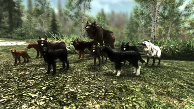Puppies of Skyrim
