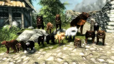 Dogs of Skyrim 1 point 7