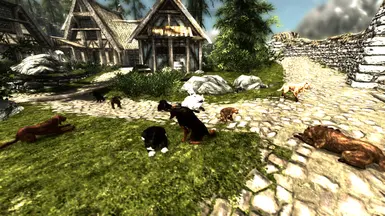 Dogs of Skyrim 1 point 7