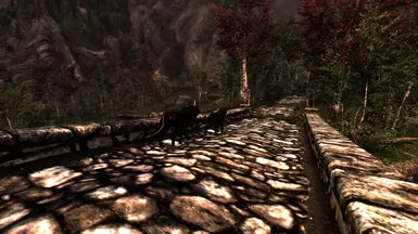 Dogs of Skyrim