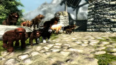 Dogs of Skyrim 1 point 7