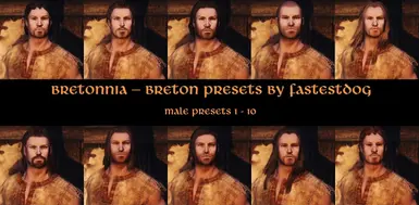 Breton Male Presets 1-10 by FastestDog