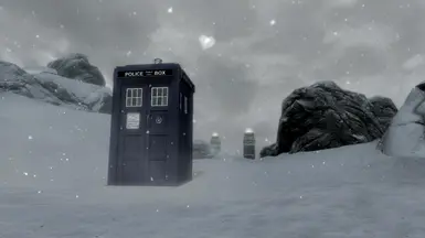 The Tardis