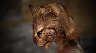 Khajiit