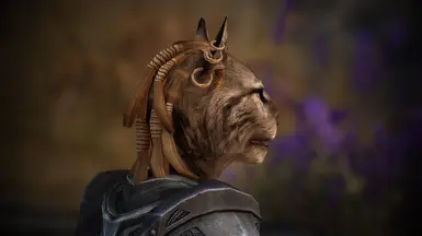 Khajiit