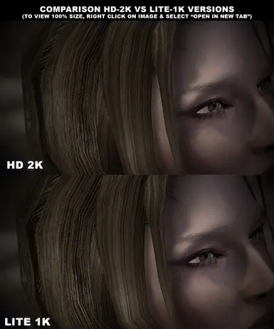 Detail Level Comparison HD 2K vs Lite 1K