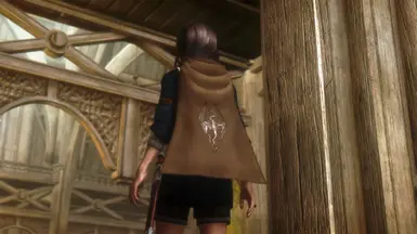 Optional cloak texture