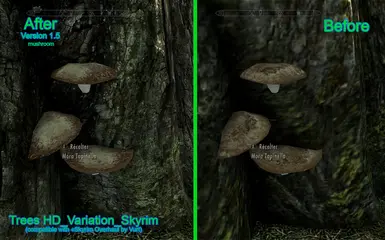 treeshd_variation_skyrim_34