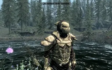 Dres Hunter Helm