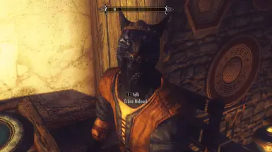 The vendor in Warmaidens of Whiterun