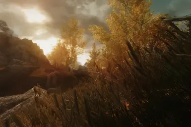 Unique Grasses with The Mistveil - Shades of Autumn ENB