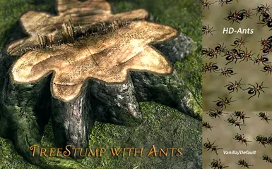 Ants HD-Retexture