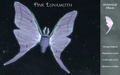 Pink LunaMoth