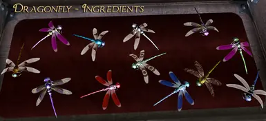 Dragonfly Ingredients