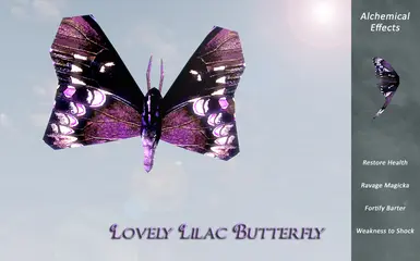 LovelyLilac Butterfly