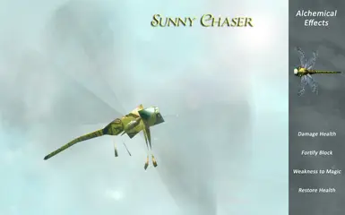 Sunny Chaser