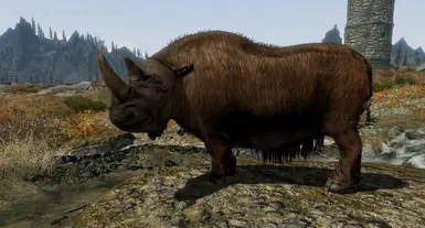 Wooly Rhino