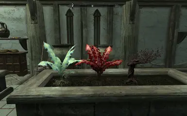 Nirnroot Crimson Nirnroot and Jarrin Root