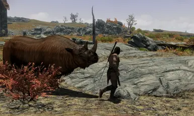 Rhino attack