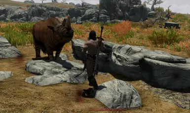 Rhino attack