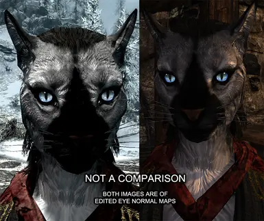 beast1 khajiit sample