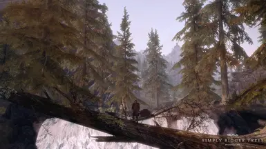 With Immersive Fallen Trees