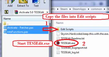 Step 1   Copy the files to Edit Scripts in TES5Edit