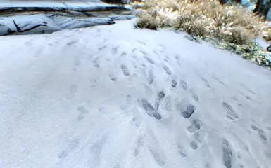 landscape footsteps