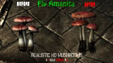 Fly Amanita