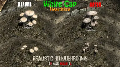 White Cap in Hearthfire Garden