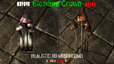 Bleeding Crown