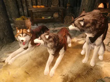 Armored Huskies