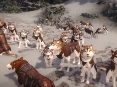 Armored Huskies