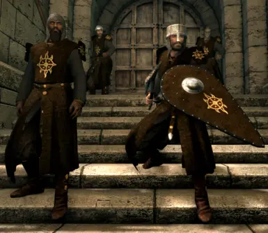 Dawnguard patch surcoats