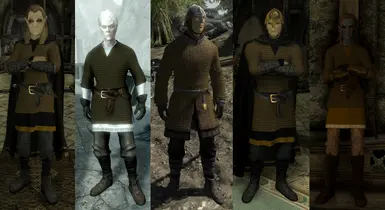 Thalmor Light Hauberk, Gelebor's Mail, Thalmor Heavy Hauberk, Elven Light Hauberk and Elven Lamellar Gauntlets