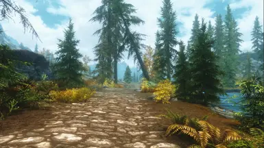 Whiterun Forest