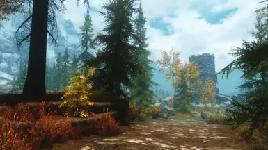 Whiterun Forest