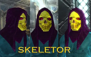 SKELETOR MASK AND HOOD