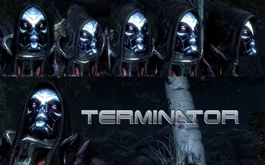 HD TERMINATOR MASK