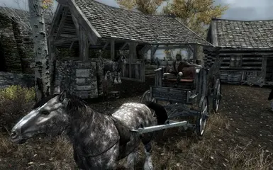 Riften Carriage