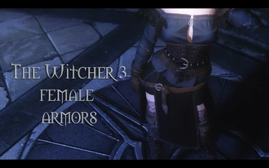 Witcher 3 Female Armors UNP