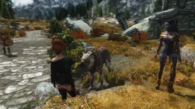 Standing Next to a Stormcloak Wolf