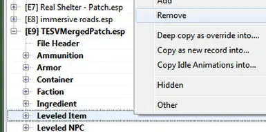 TESVMergedPatch3